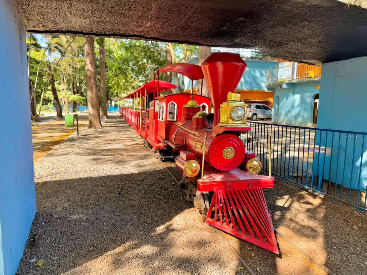 Atrações do Parque Mutirama, como o Trenzinho, já estão liberadas, por enquanto sob programação agendada - Foto Joabe Mendonça