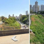 TJGO restabelece exigência de autorização da Amma para podas e intervenções em árvores de Goiânia