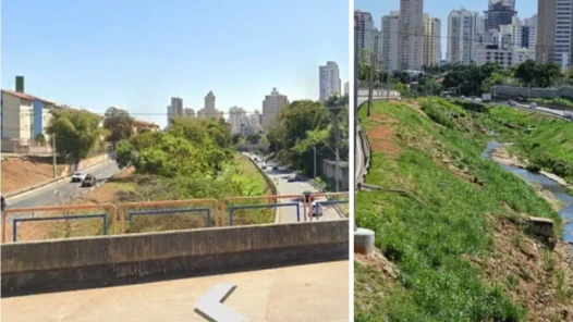TJGO restabelece exigência de autorização da Amma para podas e intervenções em árvores de Goiânia