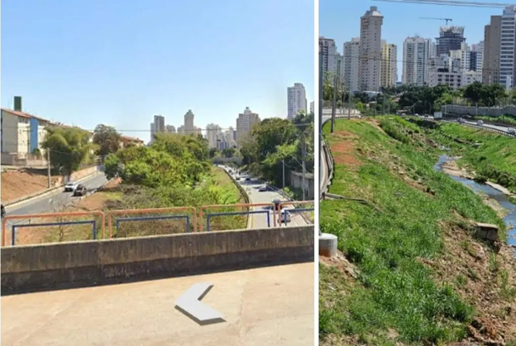 TJGO Restabelece Exigência de Autorização para Podas de Árvores em Goiânia