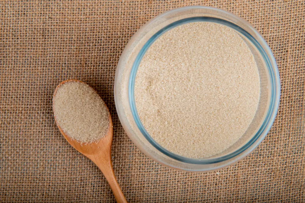 Psyllium: A Ciência por Trás do "Ozempic Natural"