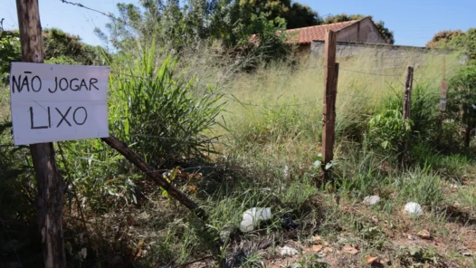 Prefeitura de Aparecida regulamenta limpeza de lotes baldios e reforça responsabilidade dos proprietários