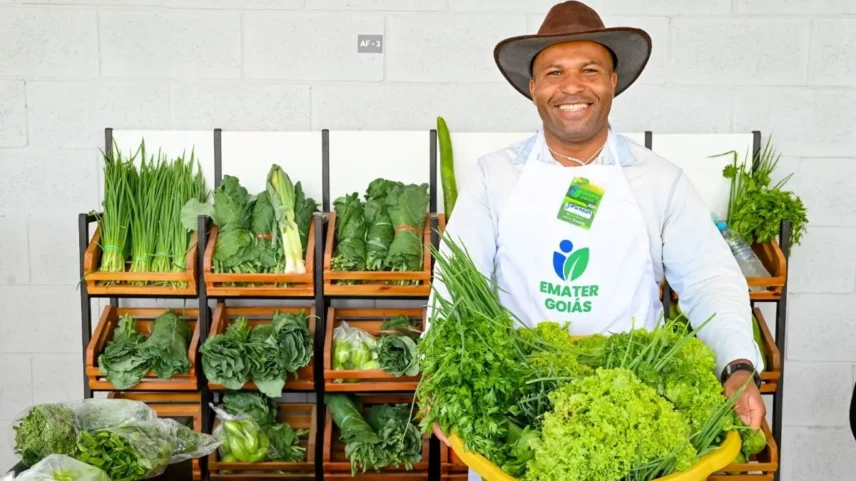 Agricultores de 12 municípios vão participar da feira em Goiânia – Foto Secom Goiás