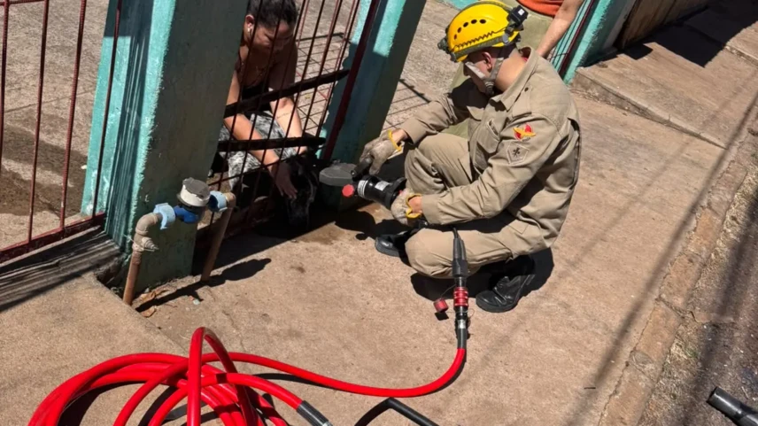 Bombeiros resgatam cachorro preso em grade de portão em Piracanjuba