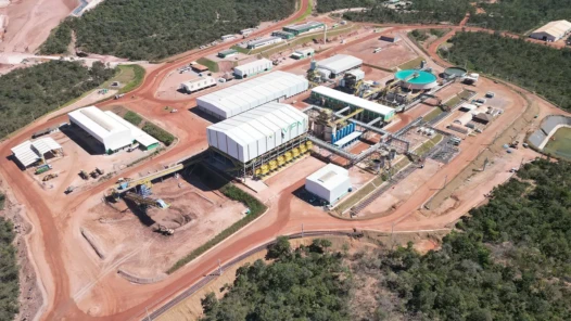 mineradora terras raras goiás