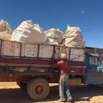 caixas de papelão agrodefesa vianópolis