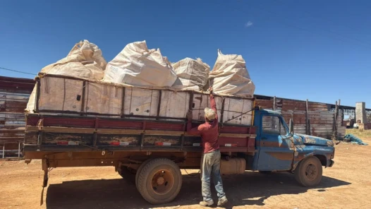 caixas de papelão agrodefesa vianópolis