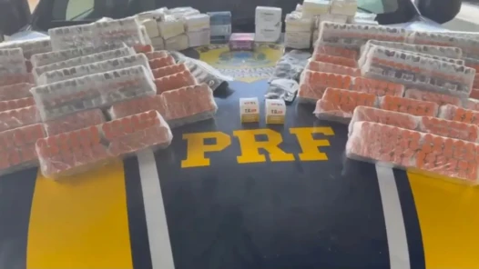 Medicamentos seguiam sem acondicionamento adequado, escondidos em veículo que policiais fiscalizaram - Foto PRF