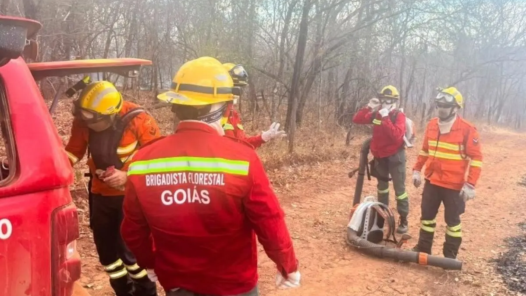 Operação Abafa Terra Ronca acontece enquanto unidade pega fogo - Foto reprodução Semad