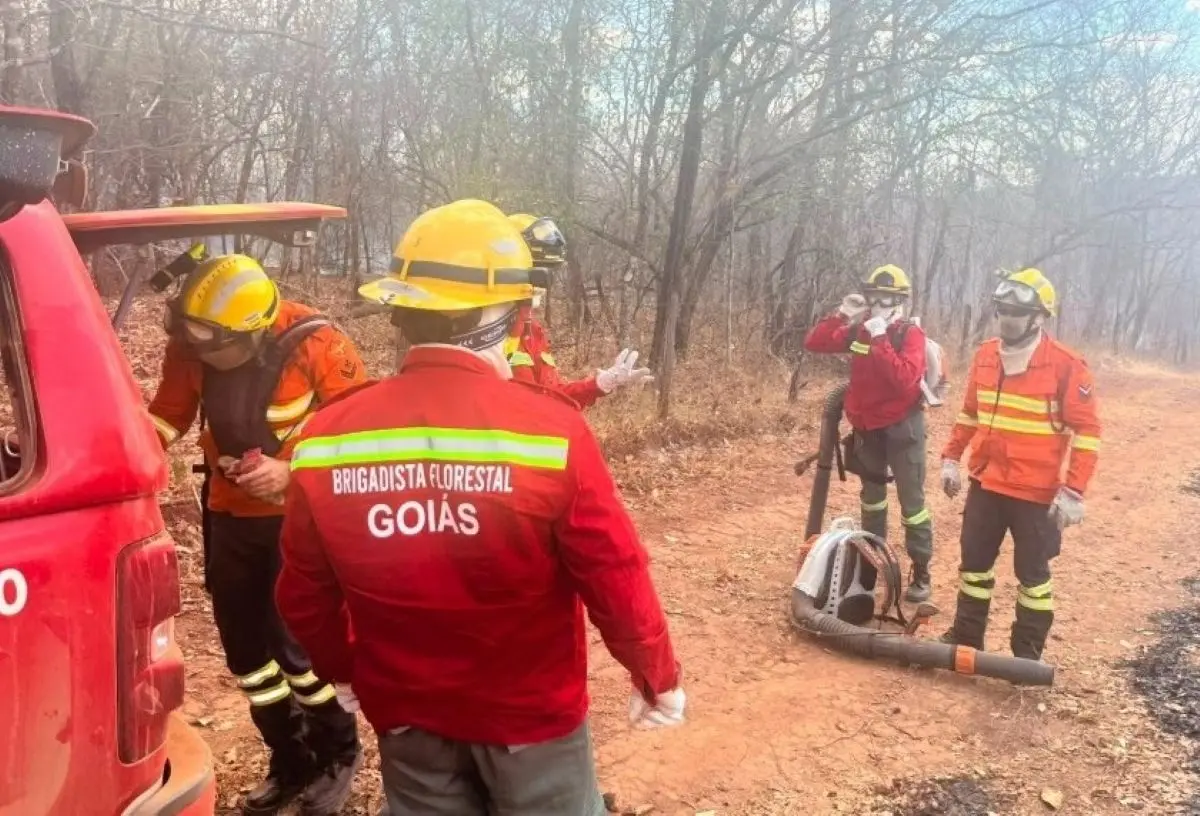 Operação Abafa Terra Ronca acontece enquanto unidade pega fogo - Foto reprodução Semad