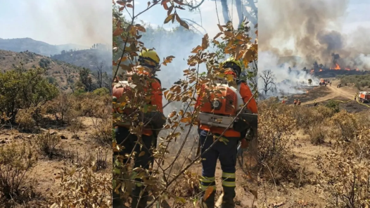 Brigadistas atuam no combate ao incêndio em Terra Ronca que pode ter origem criminosa - Foto reprodução de vídeo CBMGO