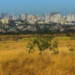 calor em goiás tempo seco