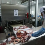exportações e importações