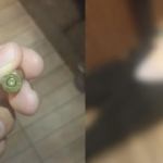 Cliente atira em dona de lanchonete - Fotomontagem reprodução Diário da Manhã