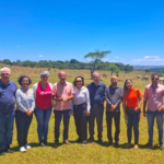 ufg anápolis