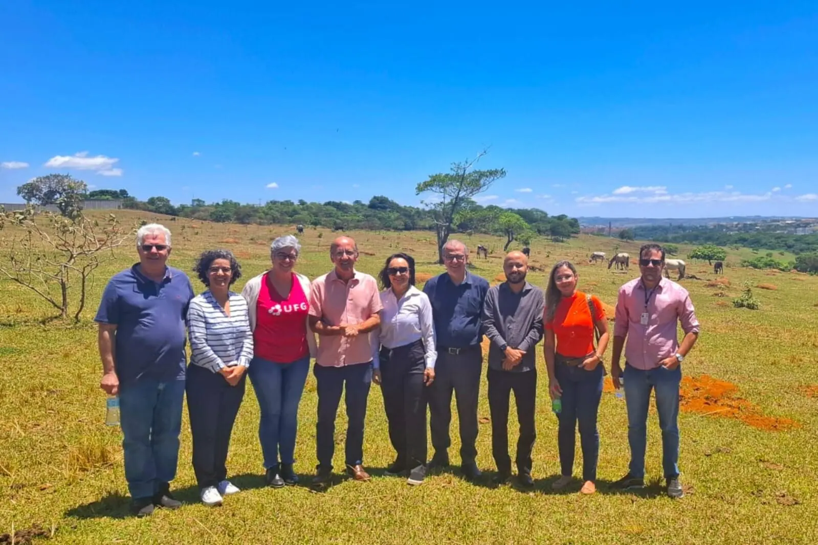 ufg anápolis