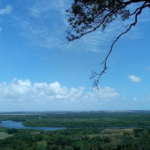 reserva aruanã