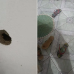 anápolis assassinato