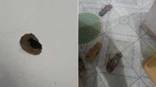 anápolis assassinato
