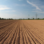 vazio-sanitario-da-soja-credito-divulgacao-agrodefesa
