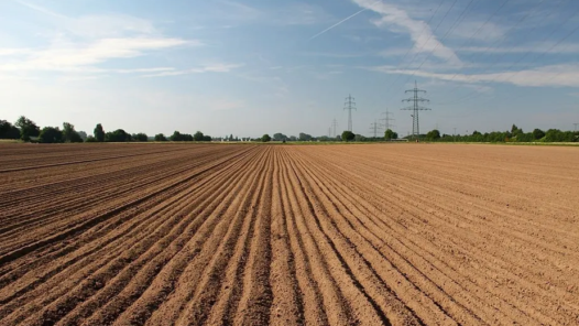 vazio-sanitario-da-soja-credito-divulgacao-agrodefesa