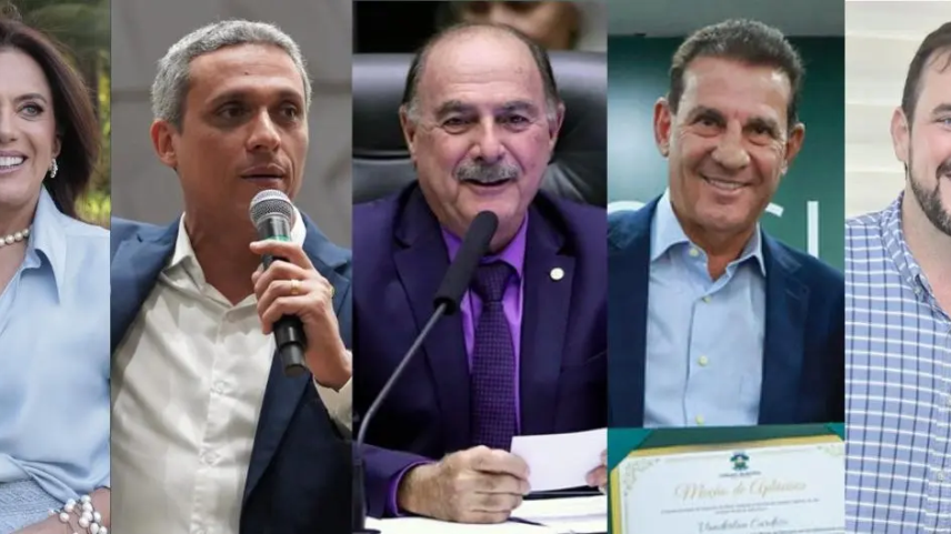 candidatos senado goiás