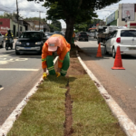 agentes da comurg fazem plantio de grama nos canteiros centrais. Foto: Paulo Magalhães