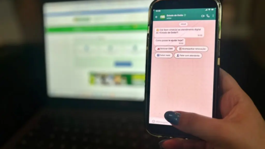 Veja como renovar a CNH e pedir 2ª via da identidade pelo WhatsApp em Goiás