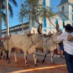 romaria de trindade_secom trindade