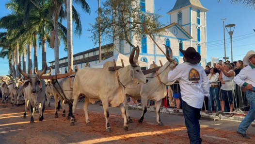 romaria de trindade_secom trindade