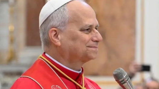 papa leão xiv cirurgia