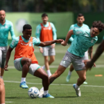Palmeiras se prepara para a semifinal da Libertadores com o Fluminense